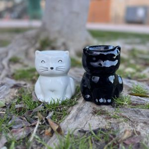 Quemador Gatito