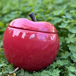 Manzana Encantada